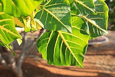 沃尔玛与Unity达成合作 可在游戏里直接买东西