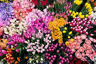 电影沙盒模拟游戏《Moviehouse》4月5日上线Steam